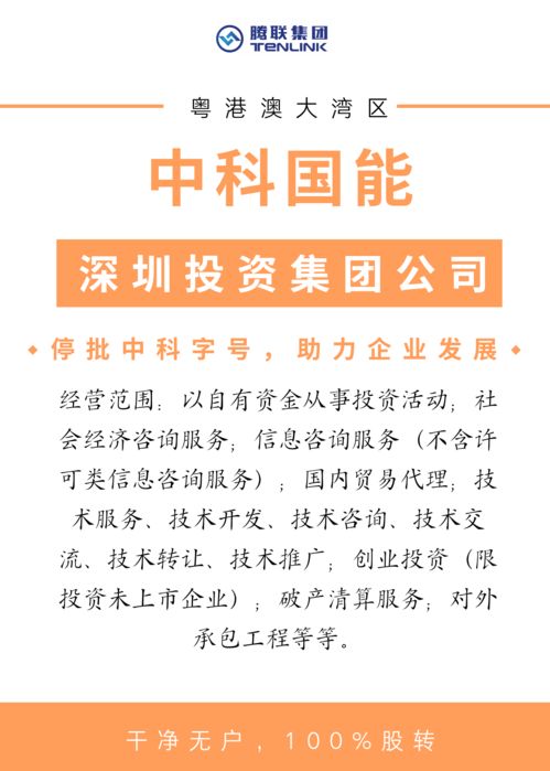 中科國能 深圳投資集團搶灘粵港澳大灣區，信息服務助力區域經濟新飛躍