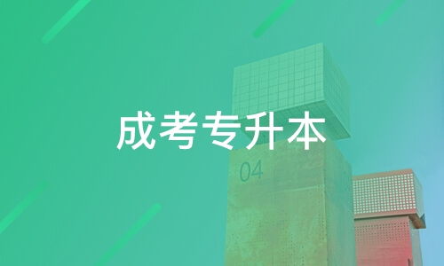 東莞圣賢教育咨詢深度解析 口碑、課程與適用人群